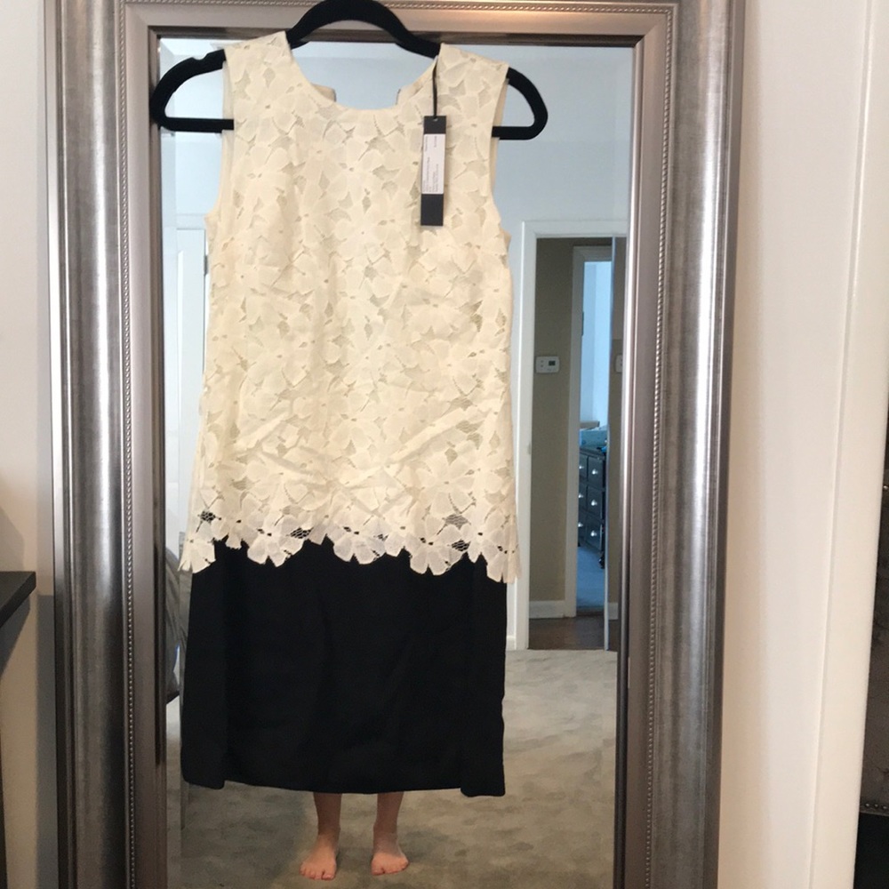 New with tags Cynthia Steffe dress.